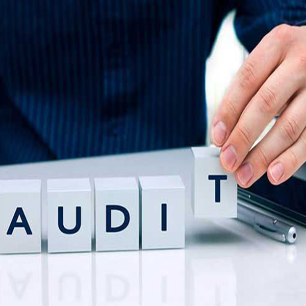 Audits